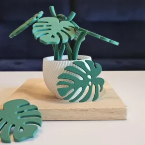 Magnetische Monstera-Pflanze